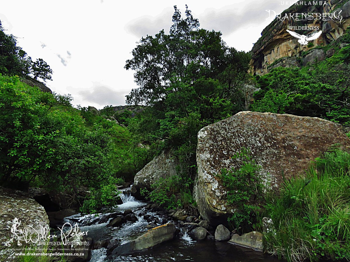 SamtashTwo's tweet photo. In the wild undisturbed valleys of the KZN Drakensberg Wilderness................

https://t.co/R16yhUHgfF https://t.co/u28lintAJl