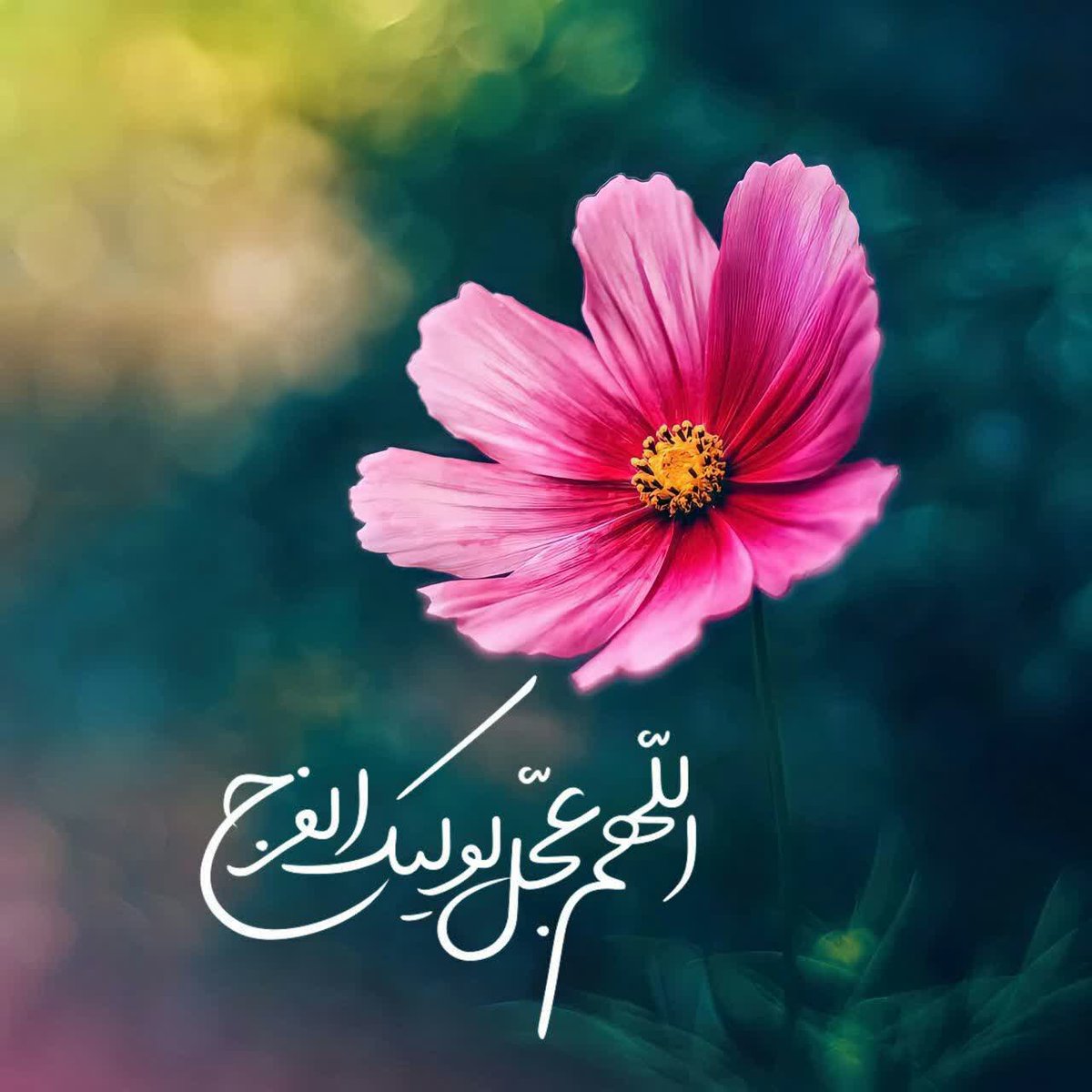 sahelaramesh63's tweet photo. #مولا_جانم 
ديگر بس است اين همه غربت، ظهور کن
چشم انتظاری و غم و حسرت، ظهور کن...

ای کاش در رکابِ شما می شدم شهيد
 عجل علی ظهورک ای آخرين اميد...

#امام_زمان  
تعجیل در فرج مولایمان صلوات https://t.co/NmmPTnwqr7