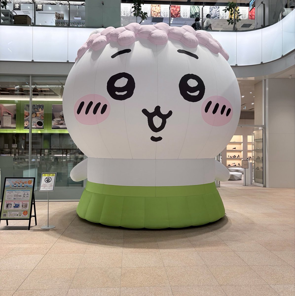 amikooooo's tweet photo. ﾌﾞﾙｽﾃの後にちぃちゃん見てきた！
ﾍﾞｰｶﾘｰでｸﾞｯｽﾞも買った🥳 https://t.co/h7LB9gbq6b