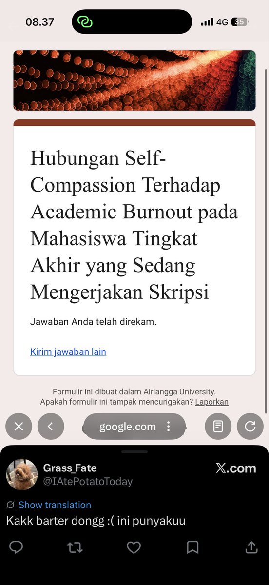 ShreksRightEar's tweet photo. @IAtePotatoToday udah yaa https://t.co/RMlWlFXtco