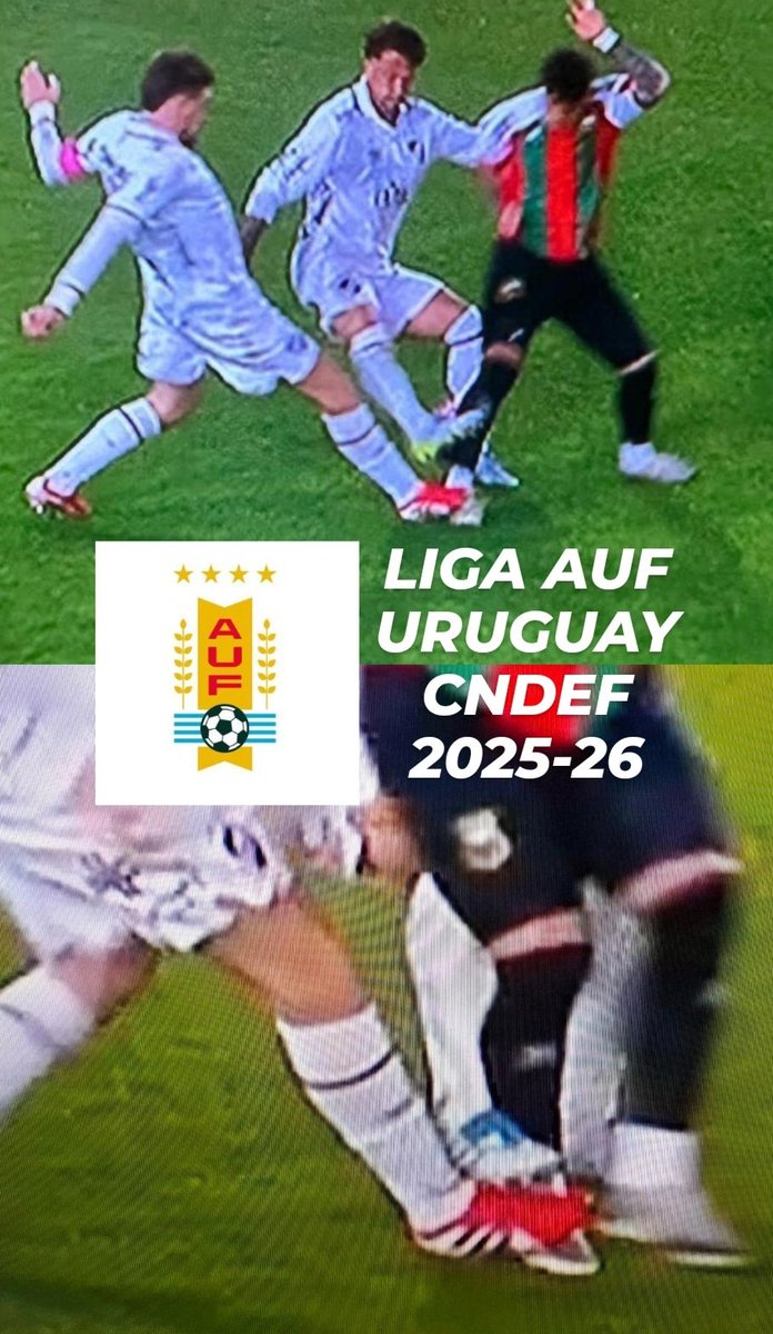 CURCCpignarolo7's tweet photo. @lucasspozniak @CarlosF89016204 @lucaselizarzu @SordelliMartin https://t.co/49WPOP2AMx