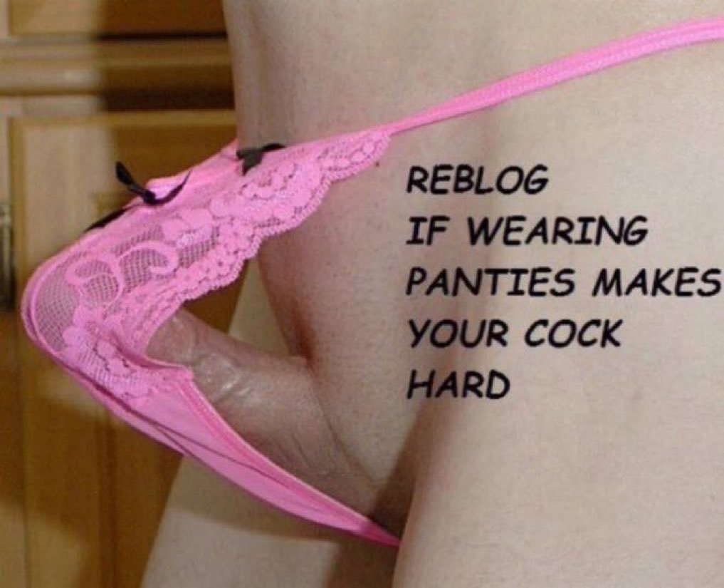 collegeofsissy_ tweet picture