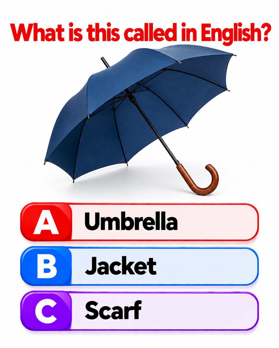 66mxs's tweet photo. 🌧️ Can You Name This in English?

 Let's level up your English vocabulary! Look at the picture and choose the correct word. Comment A, B, or C. 🎯 https://t.co/lBBiFUOSpA