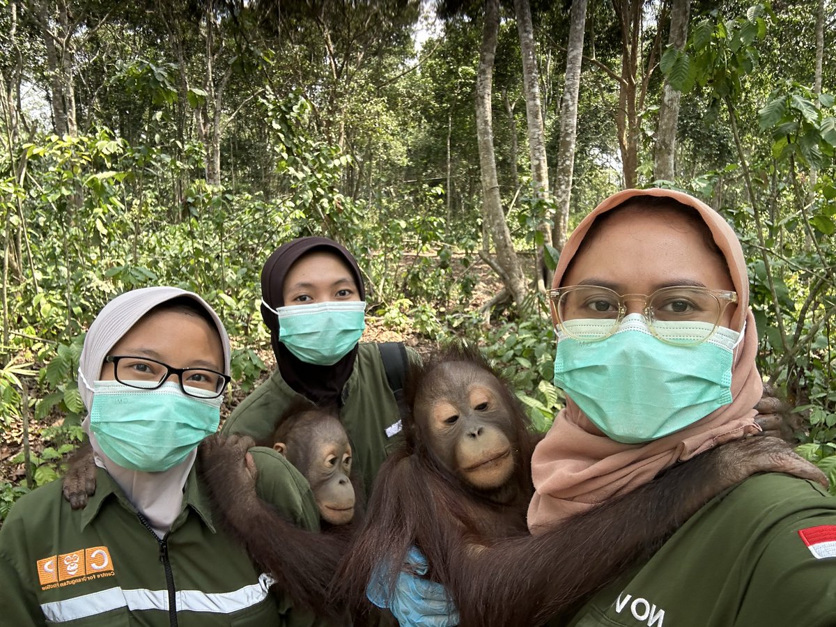 indiratendi's tweet photo. Selamat pagi dari sekolah hutan https://t.co/8Q91hB7Tyo