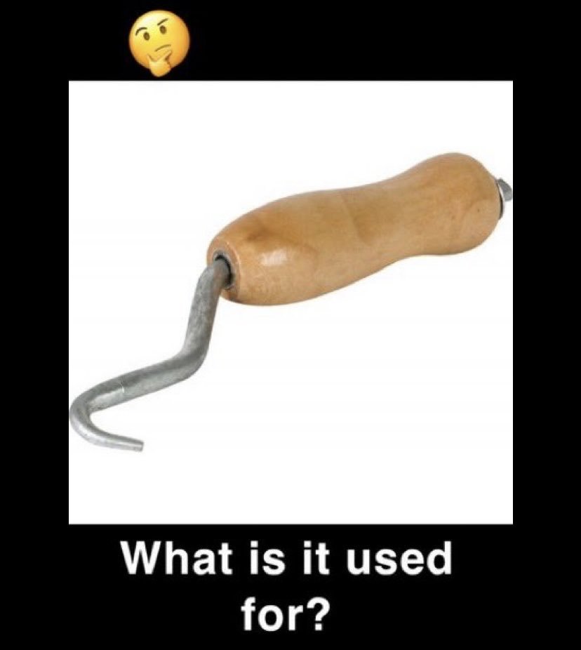 thinky9n's tweet photo. What is this? https://t.co/nACyU4SXtO