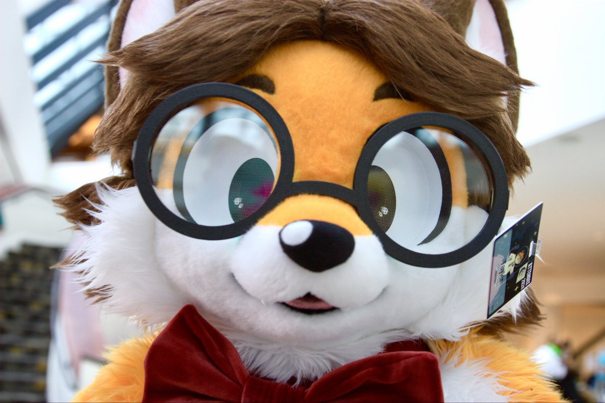 FairfoxLibrary's tweet photo. *stares at u with my big ol eyes* https://t.co/TE9XhFNAYc
