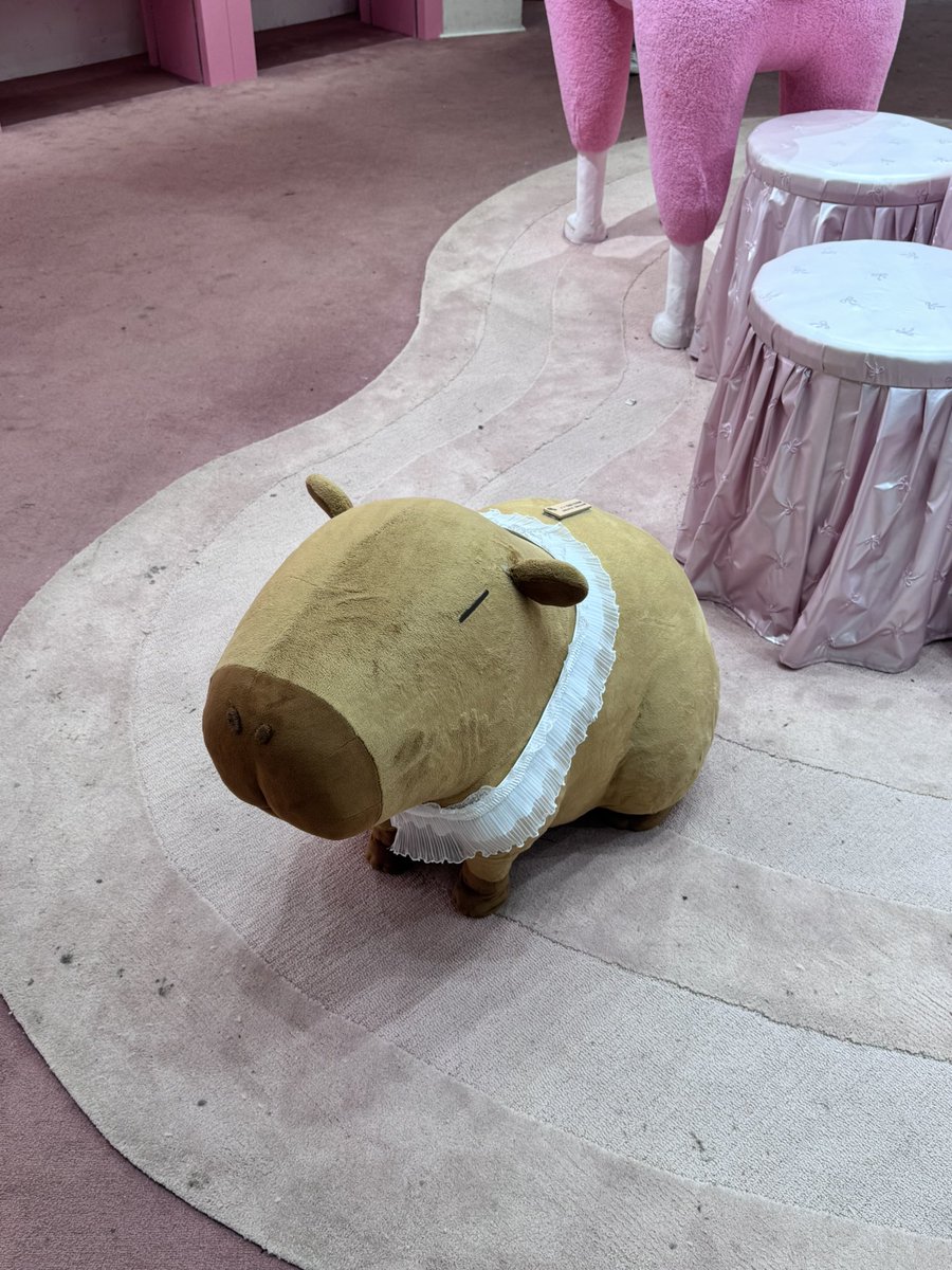 4MysTe11a's tweet photo. 🎠 https://t.co/6YXdPCSPS4