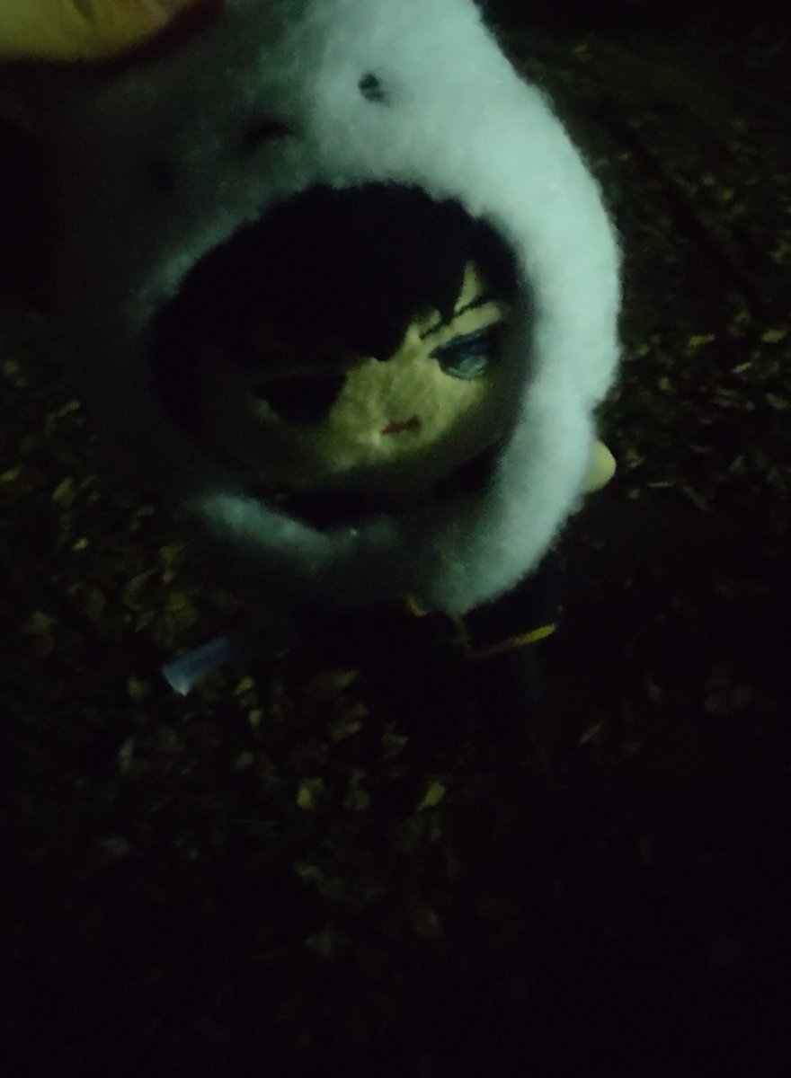 sssya__ti's tweet photo. これは夜の公園で撮った土方 https://t.co/QVZb80JG3H