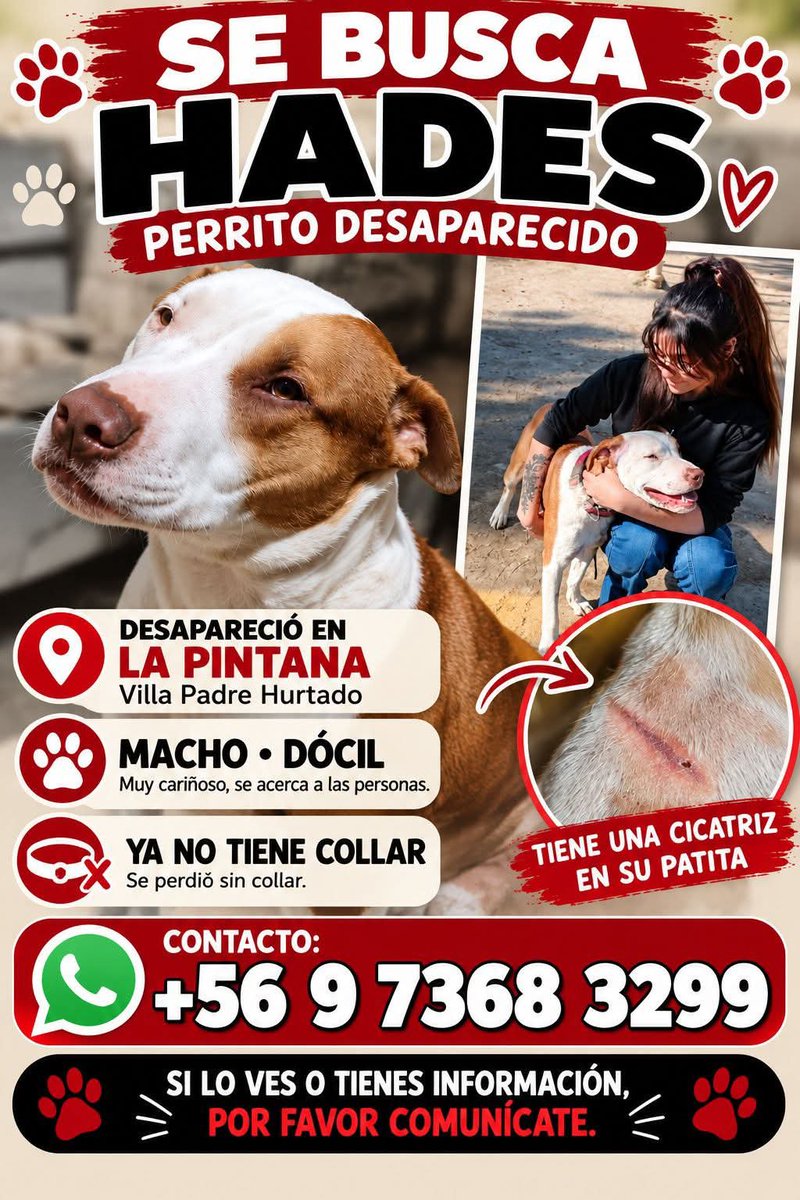 todopormiperro's tweet photo. https://t.co/GKUURwEBwC