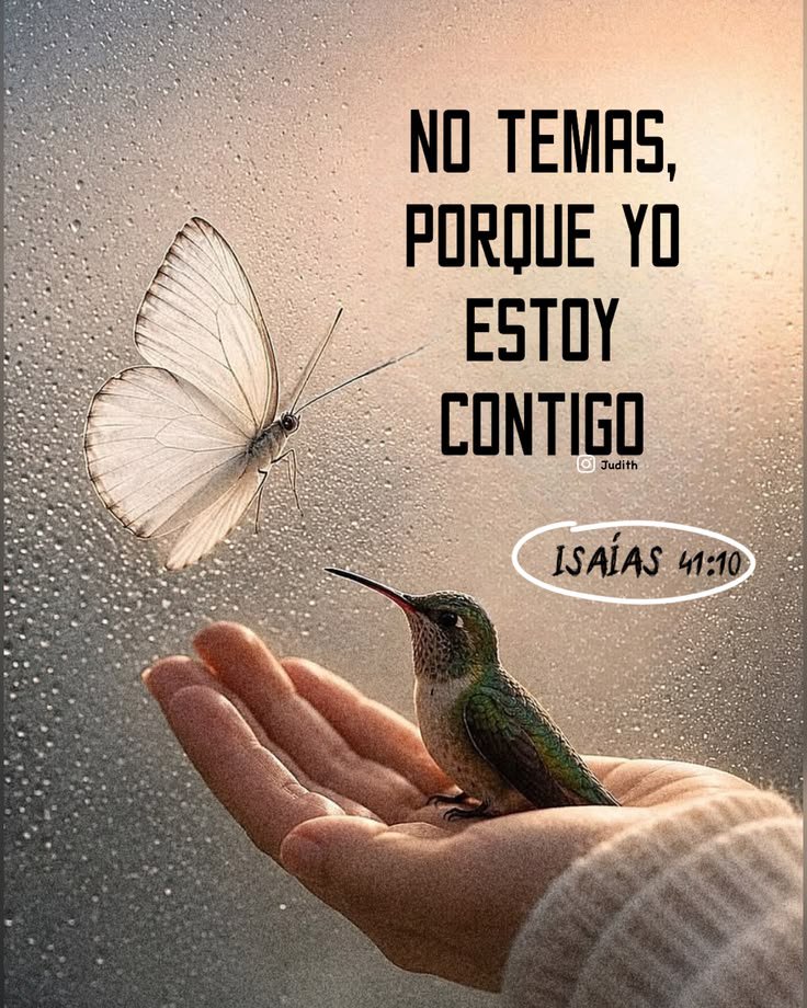dalynag90's tweet photo. Mi libertador, Dios mi protector 
El que me defiende y pelea por mi, su nombre es vencedor, mi Padre el gran yo soy, el me amo primero y tomo mi lugar. https://t.co/xM7vRI0Jrt