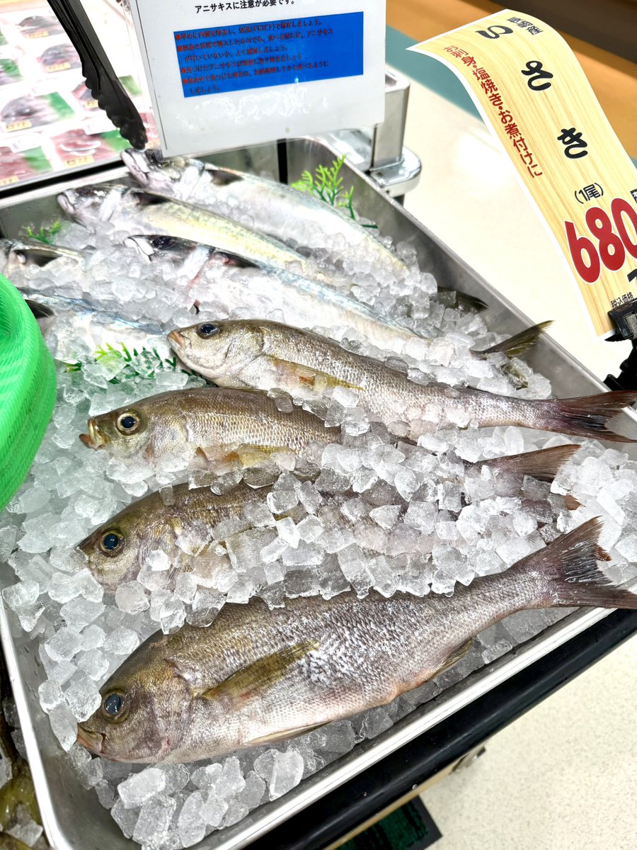 13_morinaga's tweet photo. ＼本日のお魚コーナーおすすめ／
本日のイチオシは愛媛県産【天然ぶり切身】！
100g当たり199円とお買い得です✨塩焼きや照り焼きにぴったり！
そのほか、新鮮なあじやいさきなどもご用意しております🐟
今夜のおかずにぜひいかがでしょうか？😊

#佐賀
#スーパー
#おすすめ
#お魚 https://t.co/xKGW8tQ94f