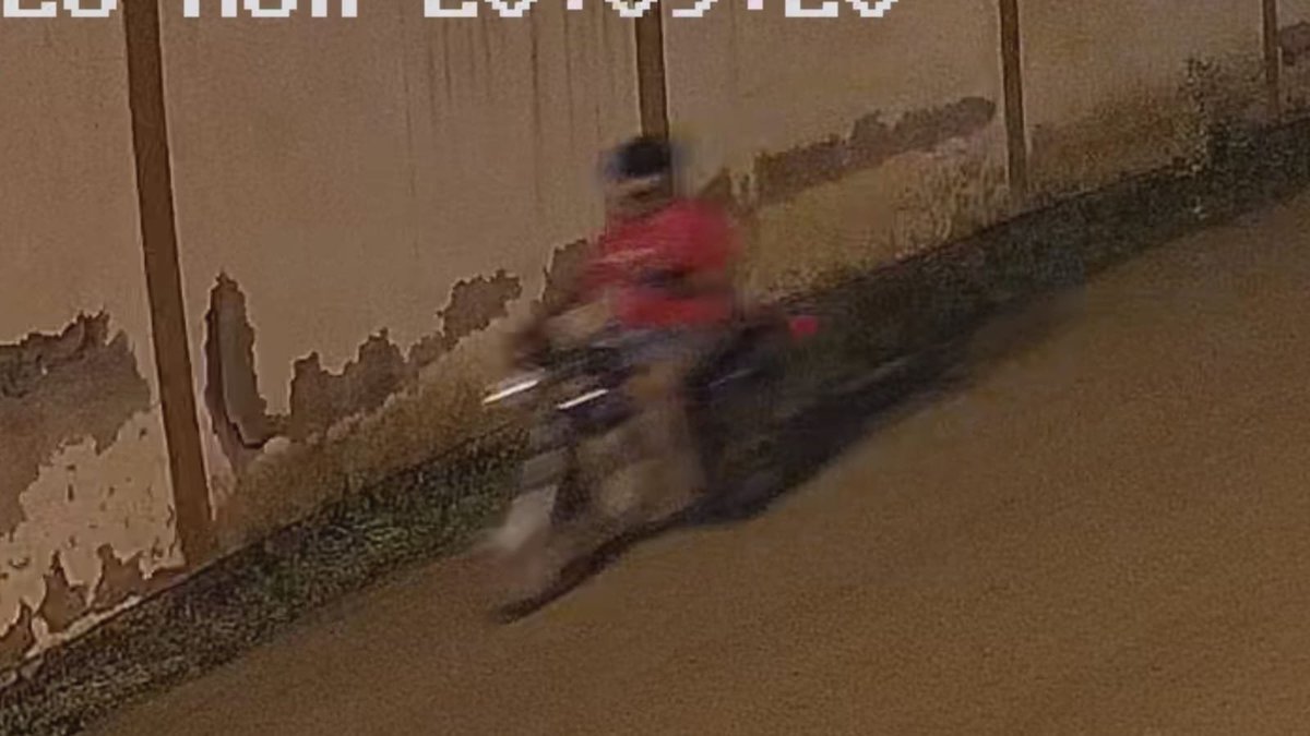 loor_braul28630's tweet photo. @PoliciaEcuador MANABI PORTOVIEJO. SECTOR NEGRITAL.  ESTE TIPO DE LA MOTO ROJA ROBA A DIARIO, ACABA DE ROBAR. PRO FAVOR RONDAS. JUSTOENSTE ROBO FUE ALADO DE LA URBANIZACIÓN SAN LUIS. https://t.co/zKKQh3ACyL