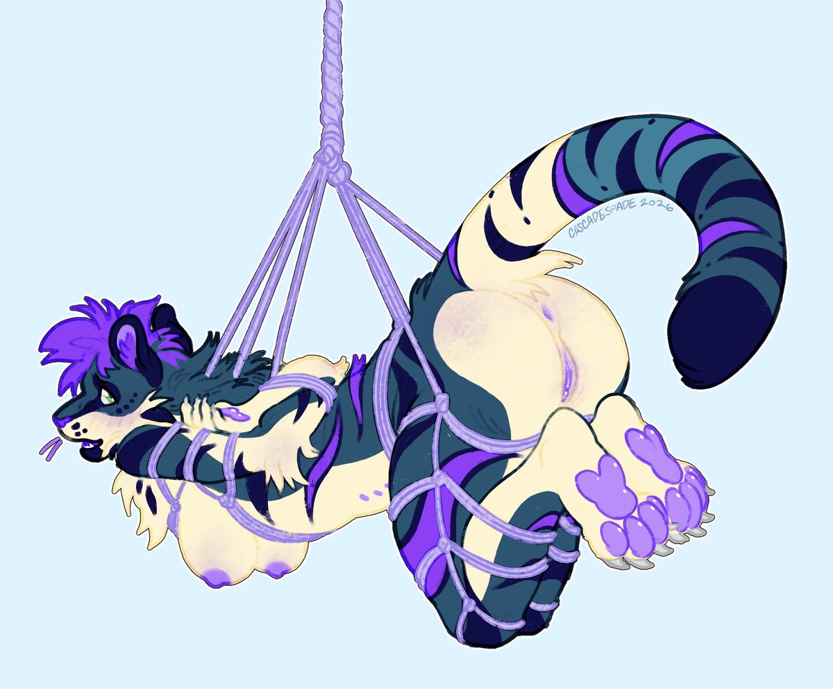 cascadespadeAD's tweet photo. Kitty tangled pt 1 👁️ https://t.co/n781rbB2Hk