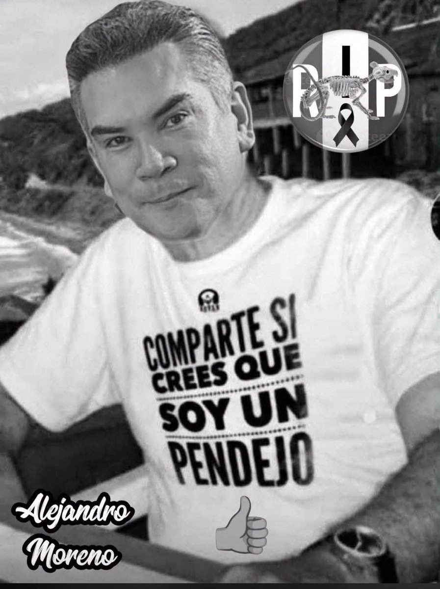 BrawIslas's tweet photo. PENDEJO ASI NACIÓ. RATERO LE VIENE DE RAZA https://t.co/PIGLqdVbrl