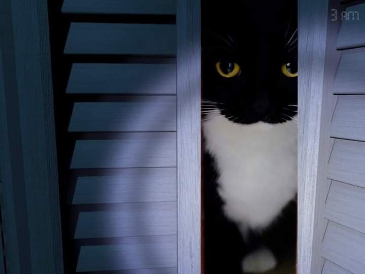 VoidCat17's tweet photo. @Chereside Quien es y que hizo? Pregunta desde la ignorancia misma https://t.co/3l7MMqVmo3