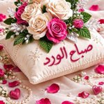 Photo by غيـ فرح ـمٓہ ة .. غــــياب 💛📵 (@f12rr5)
