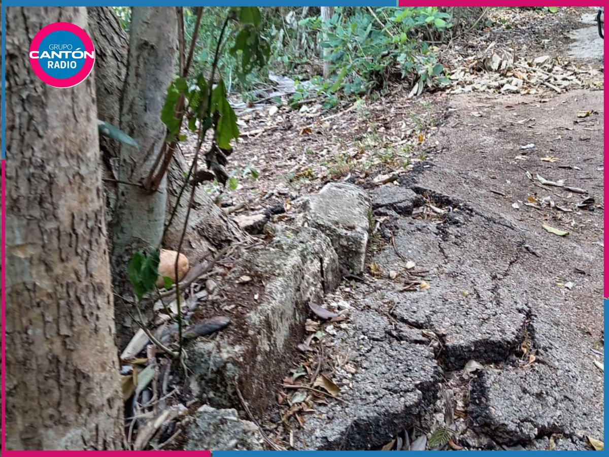 CantonRadio's tweet photo. #FelipeCarrilloPuerto | El camino a #FilomenoMata en #QuintanaRoo suma 10 años en el abandono ⚠️. Exigen rehabilitar #Caminos y #Carreteras rurales que ponen en riesgo a docentes y campesinos 🛣️.
Aquí la nota: https://t.co/Yg55AOQ7AK https://t.co/AiYezXFGsn