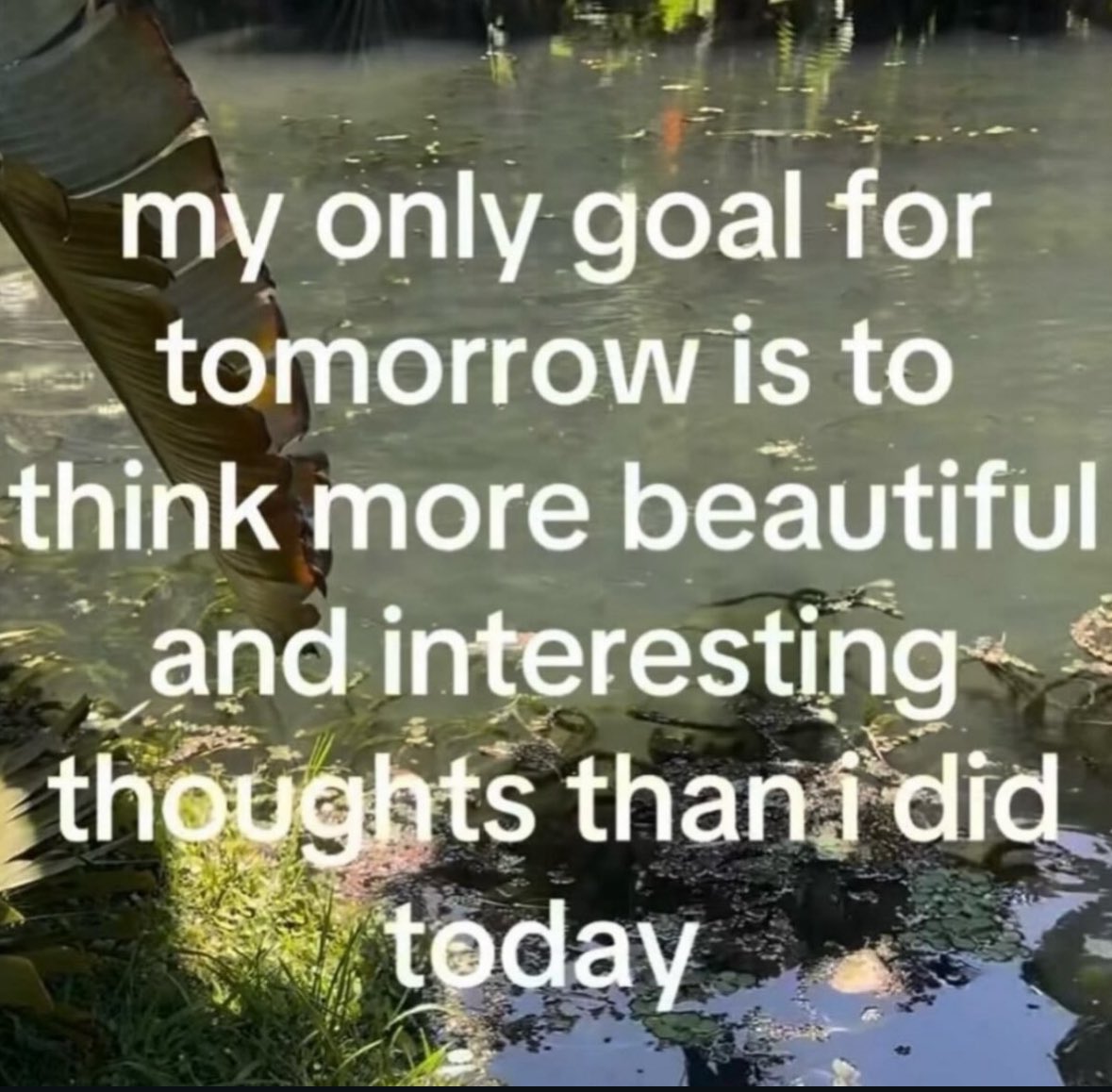 northstardoll's tweet photo. https://t.co/3n18wObVOD