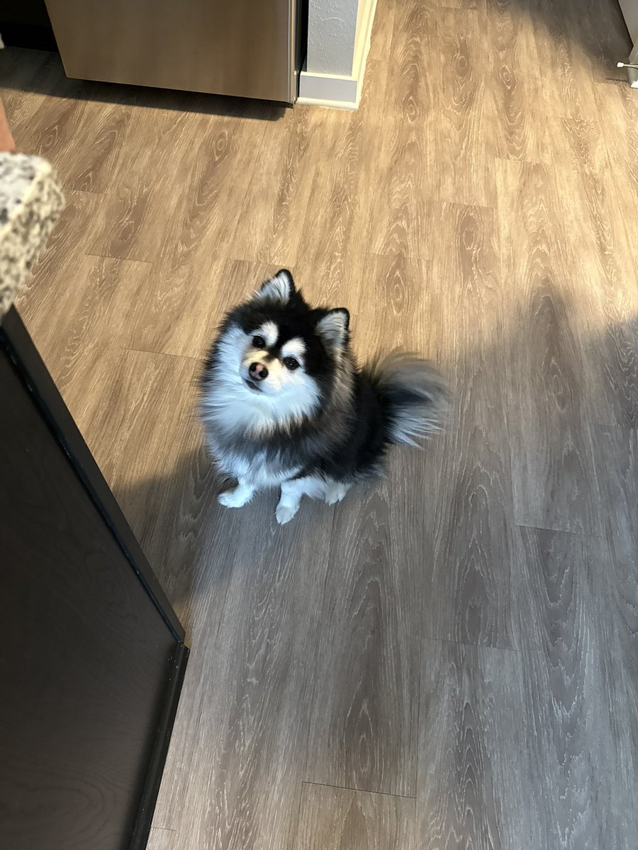 clxxiee's tweet photo. Poofy sploof and my mimi and me https://t.co/pVXcuEtQvR