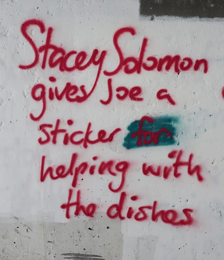 TheGNPE's tweet photo. Town plastered with insulting celebrity graffiti leaving locals bewildered

Walls in West Denton near Newcastle were covered in bizarre claims including Lorraine Kelly is barred from Wetherspoons for stealing cutlery, Danny Dyer smokes Parma Violet vapes, Rita Ora has the Lidl Plus app and Jade Thirlwall buys makeup from Poundland.

The messages kept reappearing after the council painted over them. 

A 33 year old man was later arrested, admitted the criminal damage and was referred for an out of court disposal. Northumbria Police said the behaviour is completely unacceptable.

(more pics in comments)
