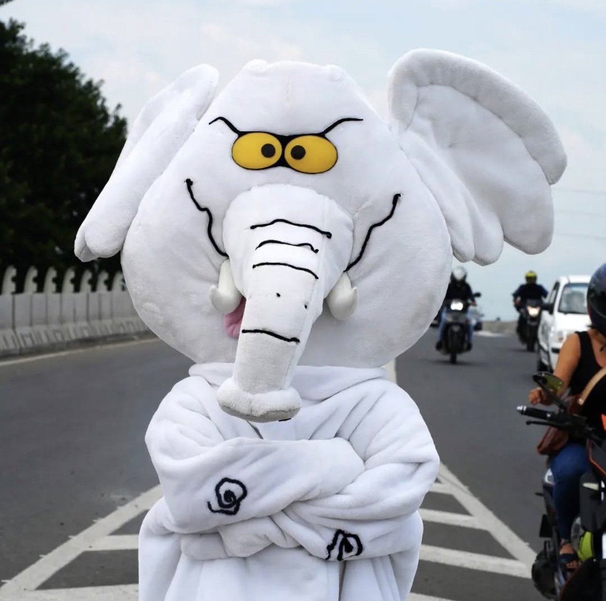 PareceLes's tweet photo. En Francia hasta la pantera rosa se unió a la protesta ... En Colombia el elefante blanco solo le falta vestirse de SMAD https://t.co/QTf0kBZfBz