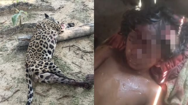 marion123451's tweet photo. Munduruku Child Seriously Injured After Jaguar Attack in Southwest Pará

💦menina atacada por onça
💦zacarias
💦portal zacarias
💦portal zacarias onca
💦crianca atacada por onca
💦menina atacada por onça

https://t.co/c1ap9F2C8x https://t.co/2l12yp61dp