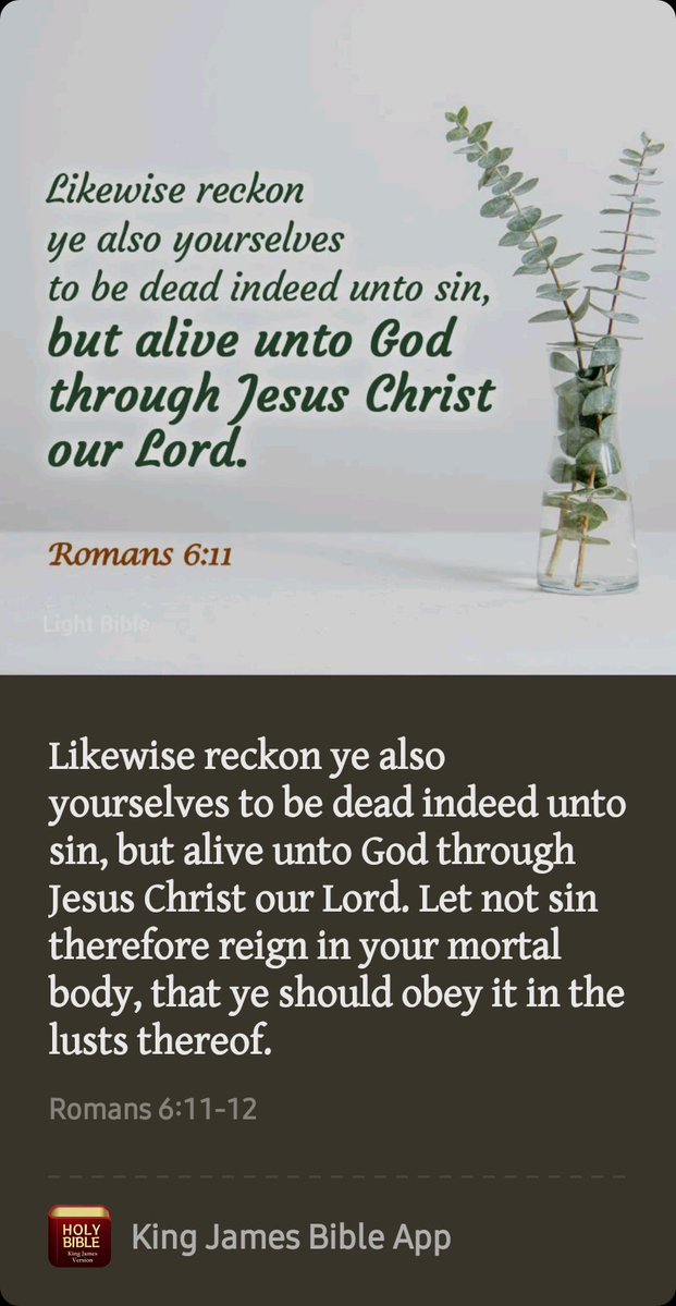 RashardRomelo's tweet photo. ##Goodnighteveryone #mayGodblessyouallways #maypeaceprevailonearth #praiseGodfromwhomallblessingsflow #maypeacebewithyou #believenomatterwhat #GodIsAble #noweaponformedagainstmeshallprosper #seekthekingdom #InJesusNameAmen #1world1love 🙏🏿🙏🏽🙏🏼🙏🏻✌🏿✌🏾✌🏽✌🏻❤️❤️ https://t.co/gdN887jWtj