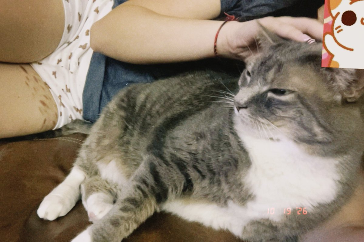 minh0_X3's tweet photo. me and my kitty:33 #scars #kitty #meow https://t.co/Edfh2b5PWa