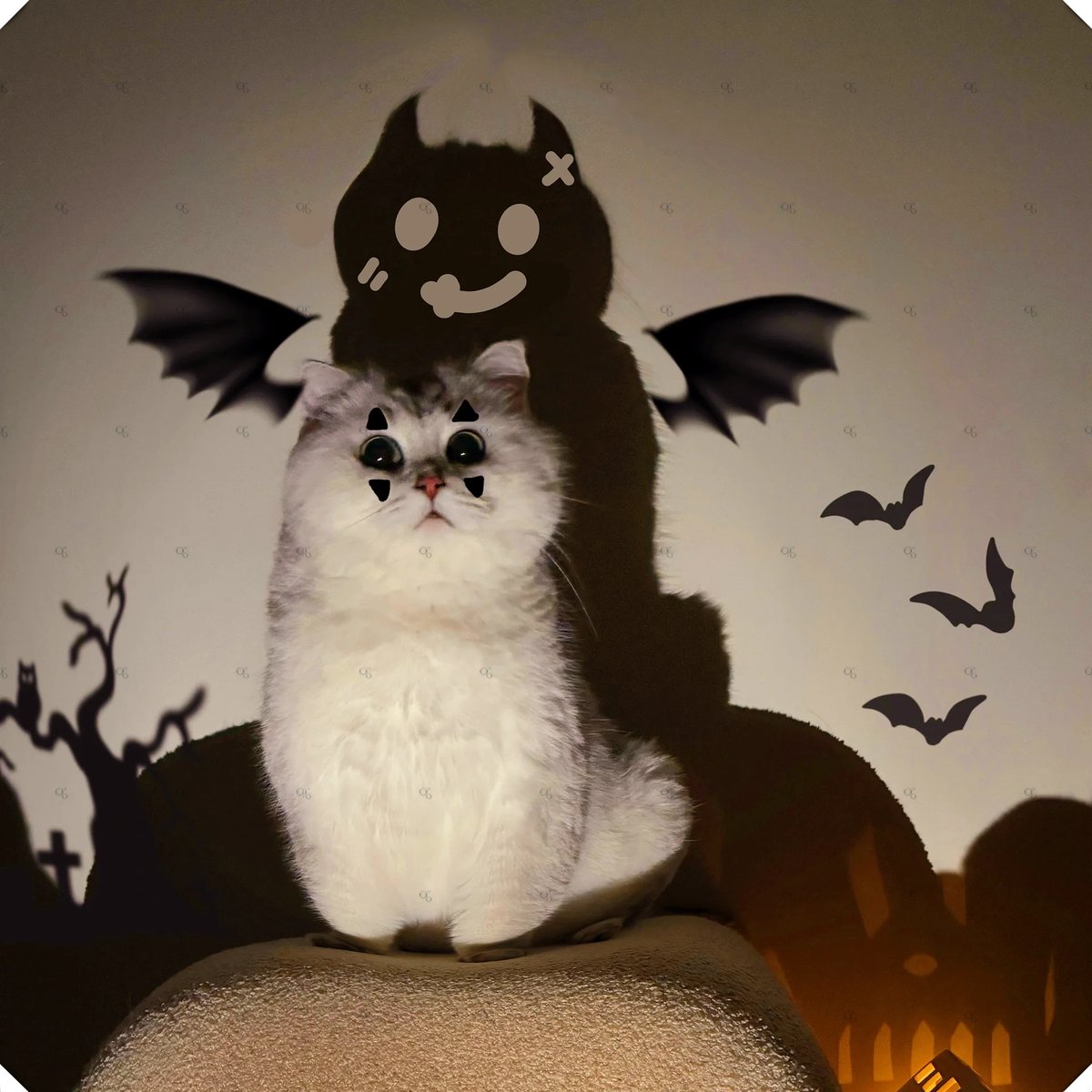 mlcf_flaca's tweet photo. Cute little lamp with a fierce expression  ， https://t.co/QfZQLd28FU