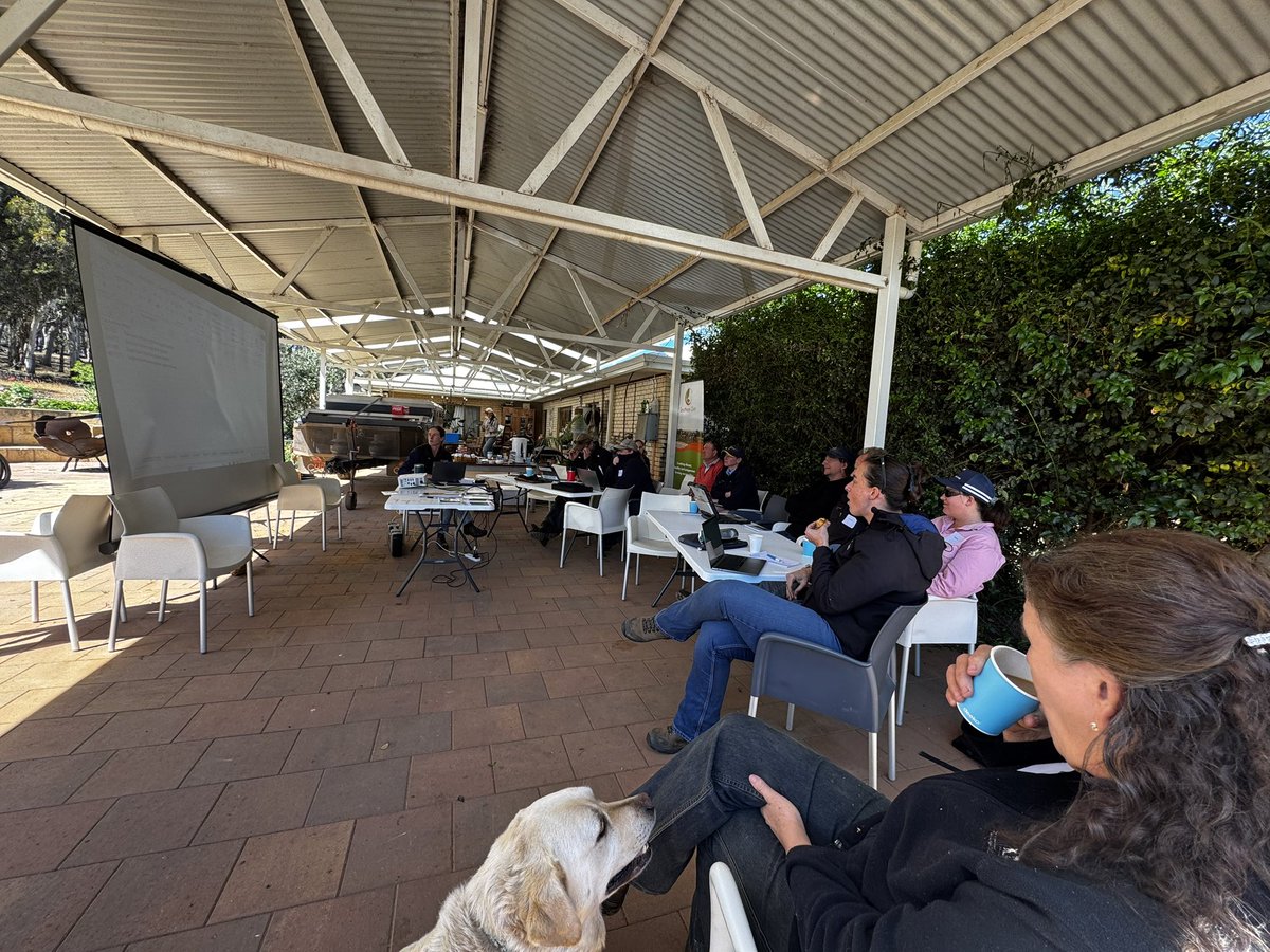 DirtSouthern's tweet photo. Our Muster your Data workshop is underway! Maeve O’Brien doing what she does best working with producers to understand and utilise their eID data correctly! 

Our Muster Project, is funded by the Australian Government through @DAFF, led by @GGA_WA https://t.co/RFVDJCKwnh