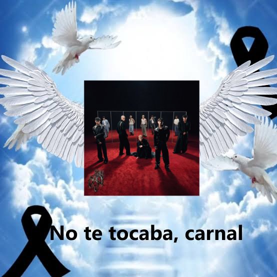 ojiitoscaramelo's tweet photo. Ahora si, adiós dual te queremos bien harto https://t.co/Iw0oULHaRH