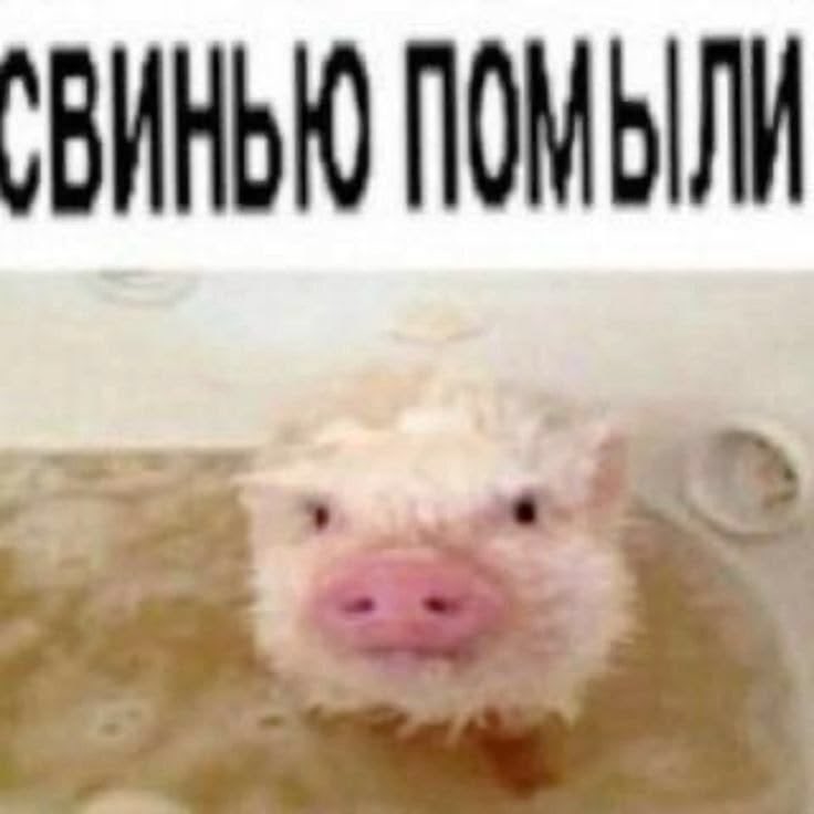 vladrozd01's tweet photo. я себя чувствую очень нишево и мне нравится тот факт, что я тут ни с кем не знаком, хочу делиться здесь всем, даже зная, что никто не прочитает https://t.co/vCRfswPaR8