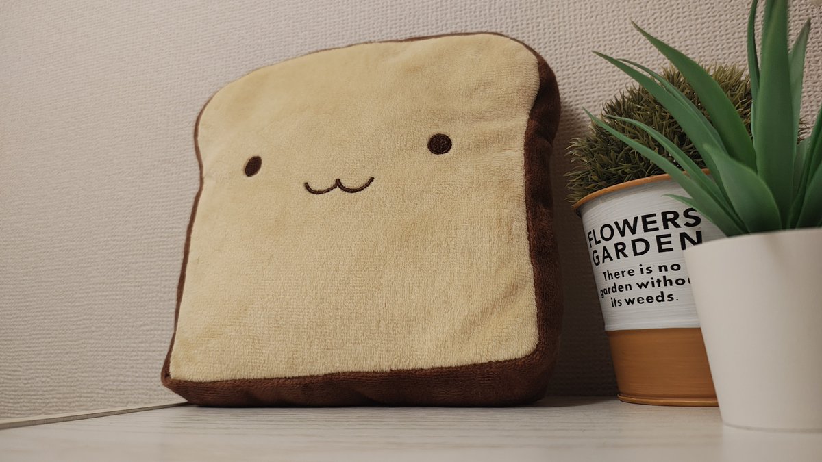 sam_36_sam_'s tweet photo. いつも私を出迎えてくれる食パン https://t.co/apGEbVxfp7