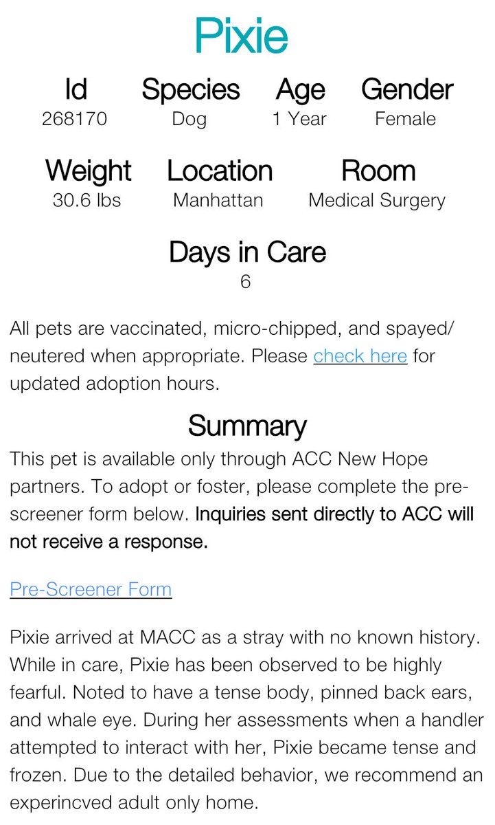 magalys_rios's tweet photo. PLEASE HELP HER WALK OUT ALIVE 🆘 🎯KILL FOR FEAR 💔EMACIATED STRAY
#Foster #ADOPT #Pledge 
#PIXIE #268170
   1 yr old 30.6 lbs girl 
Manhattan ACC over 6️⃣days
Bio⬇️

https://t.co/Ll535qWkpr
#RESCUEonly ➡️🆕HopePartner 
DM @notthesame2 to 🛟 https://t.co/0mWp5K1JVS