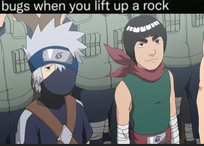 amineorbit6's tweet photo. You just called my Might Guy and Kakashi Sensei bugs?! https://t.co/JBREceBkZv