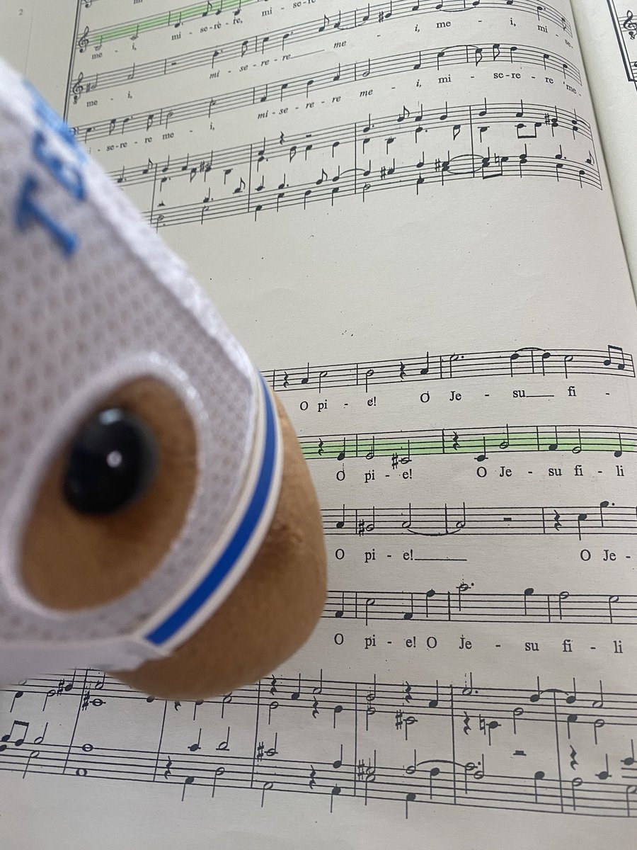 skymelody_67's tweet photo. 理由。サークル活動でやってた曲の歌詞に、「O pie!」というのがありましてね。ラテン語なのですが、読みも「オ ピエ」なので、我が家での呼び名をおピエにしました。

「『慈悲深い』って意味なんだ…へー…」

ということで、これからよろしくね、おピエ！

#アイドルホース https://t.co/ZWuRTNkRcs