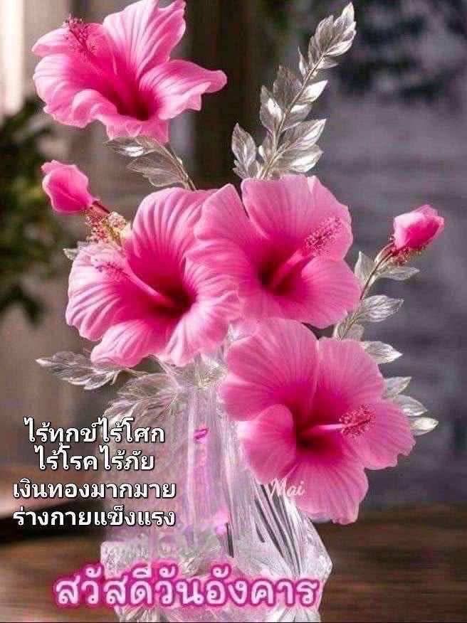 thiph4fb tweet picture