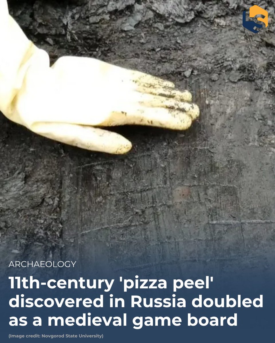 LiveScience's tweet photo. Archaeologists in Russia unearthed a flat wooden "pizza paddle" that had a board game carved into it.
Read more about it here: https://t.co/yqAJEoiuq4 https://t.co/hePIJ0AcTi