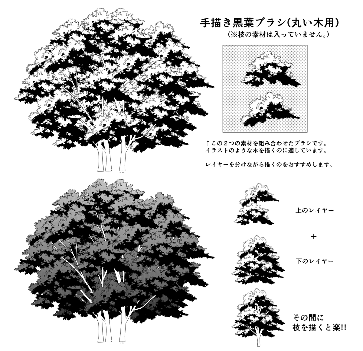 bottari_asset tweet picture