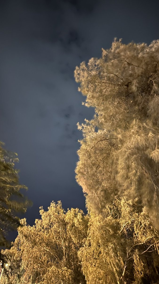 7rwl_'s tweet photo. Trees, October, coffee, and us / https://t.co/hdoOYgjGzU