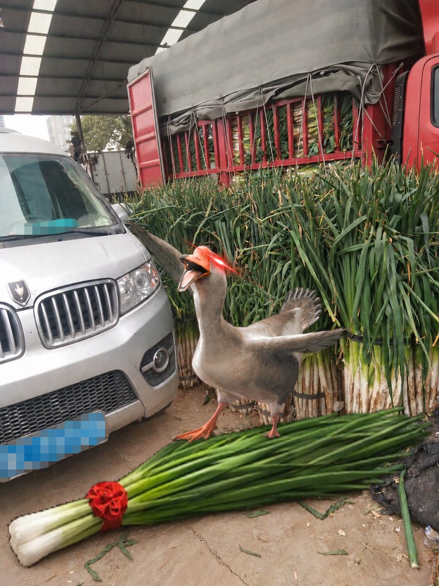 goose_overlord_'s tweet photo. HONK!
Your Goose Overlord is FINALLY on X!
My mission? Take over @WhereWindsMeet_ and become the REAL official account. 😈

But first, I need an army.
The Goose Leek Army is NOW recruiting!

🪿 Follow me + repost or reply "HONK" to prove your loyalty
 5 lucky recruits will each win a Big Goose Plush! 🪿
#WhereWindsMeet