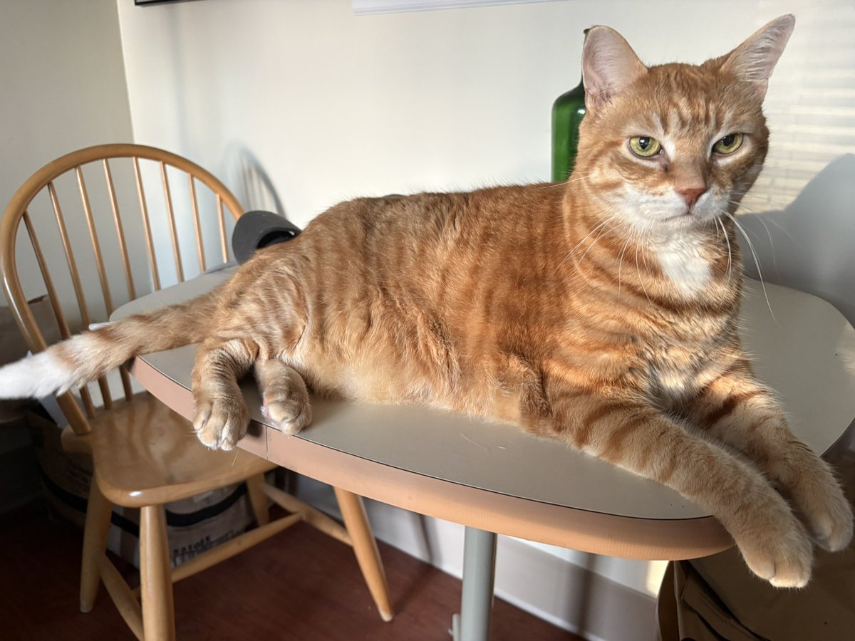 WeatherTalk's tweet photo. #SNELovesPets 
My boy Leo! https://t.co/HjDvY8gxbX