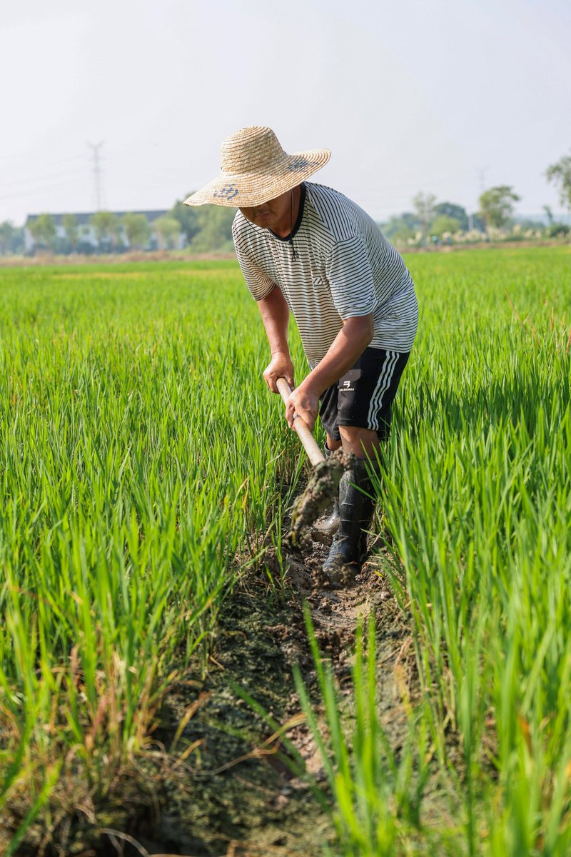 POLICE9ikw's tweet photo. [Hao Ren comes to work on farming—every hand makes the harvest better!]， https://t.co/nwdlNZy2T1
