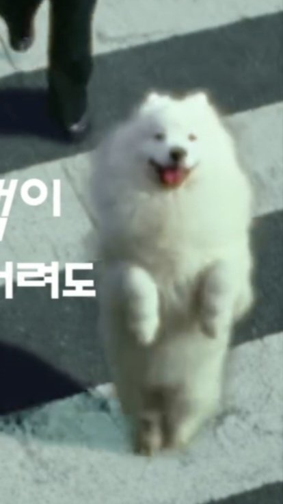 junhowon001's tweet photo. 똑같자나ㅋㅋㅋㅋㅋㅋㅋㅋㅋㅋㅋㅋㅋㅋㅋㅋ https://t.co/NebPEkdexP