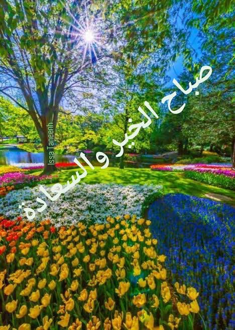 azeembhatti132's tweet photo. @Sedloiff https://t.co/LNSJFgJzHm