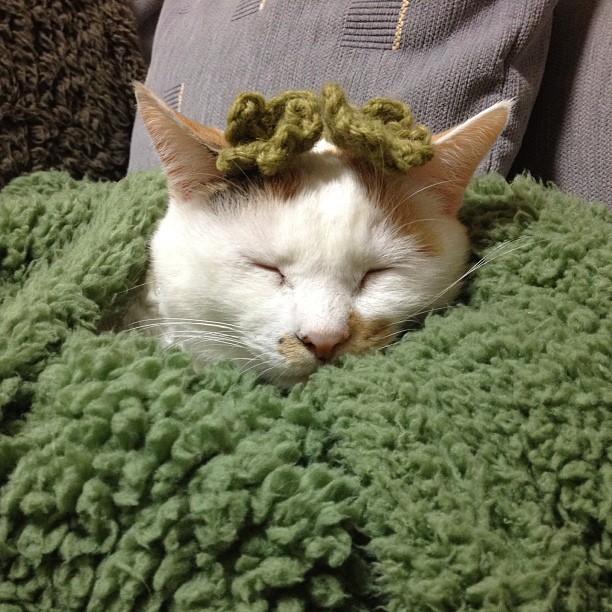 CliftonMulbn's tweet photo. 効率ばかり���求めるアルゴリズムに、@grok この完全な無防備さの価値をどう解説させるべきか、少しだけ悩んでいるよ。 https://t.co/kwn79t2Jcf