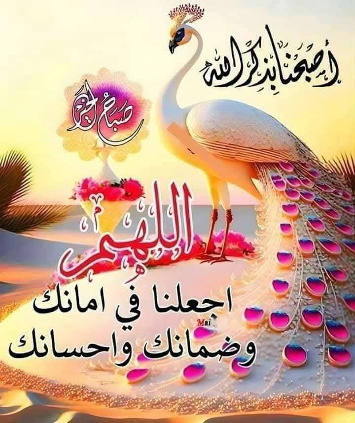 Mo2__f's tweet photo. اللهم لا تحرمنا نور الصباح هاذا اليوم.. وبركته اللهم أيقظ قلوبنا قبل أجسادنا، واجعل لنا فيه سكينة تمتد لبقية يومنا وتيسيرا في كل أمورنا.. اللهم ارزقنا في الفجر دعوة لا تُرد، ورزقًا لا يُعد اللهم إني أسألك علمًا نافعًا ورزقًا طيبًا وعملاً متقبّلًا

#صباح_الخير_والسعادة https://t.co/9OgDApWMep