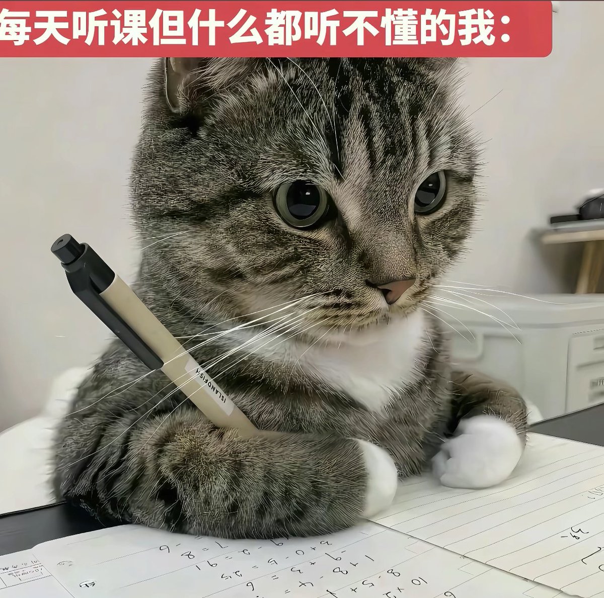 hjmddj66's tweet photo. 完全是我 https://t.co/zcfodrvWxF