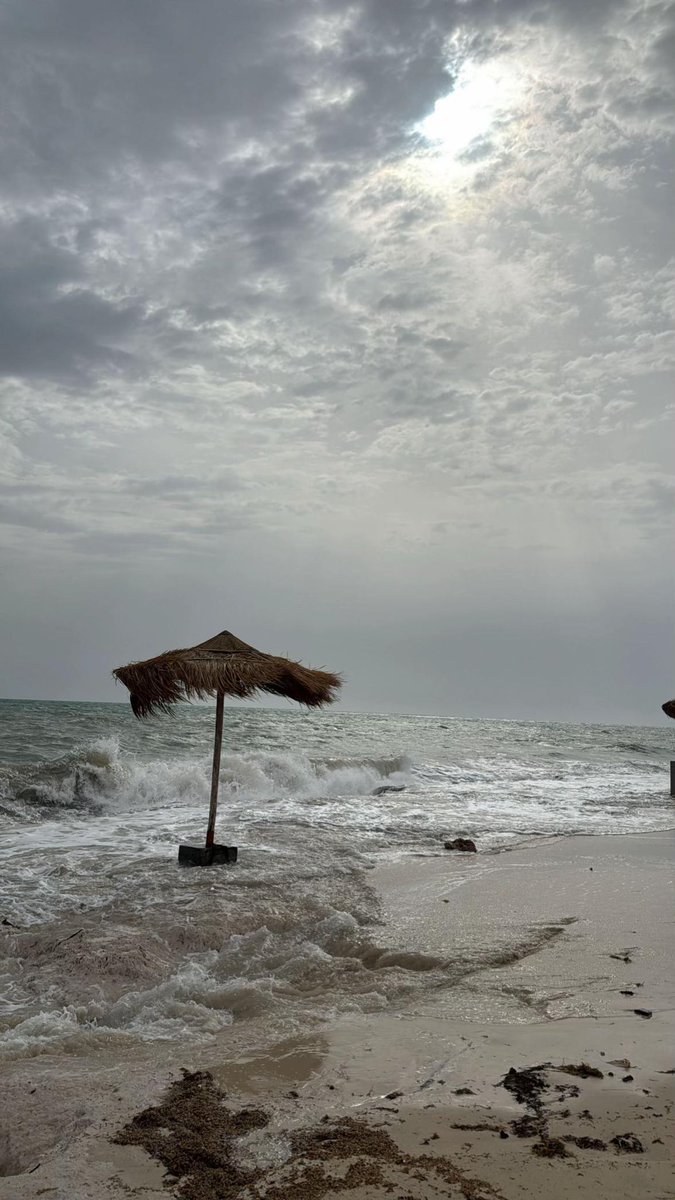 saudi_1ive tweet picture