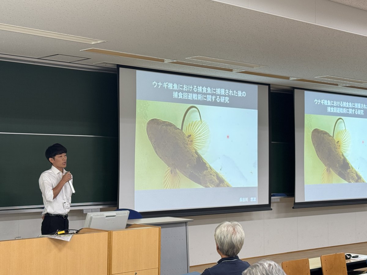 NU_kouhou's tweet photo. ／
総合生産科学域（水産学系）の長谷川 悠波 助教が2026年度日本動物行動学会賞を受賞🏆
＼
総合生産科学域（水産学系）　助教の長谷川悠波氏が、2026年度の日本動物行動学会賞を受賞しました✨

受賞対象となった研究題目は、「ウナギ稚魚における捕食魚に捕獲された後の捕食回避戦術に関する研究」です🔬
#長崎大学 #総合生産科学域 ＃受賞
👇詳細はこちらから👇
https://t.co/yDiEoY1hxq